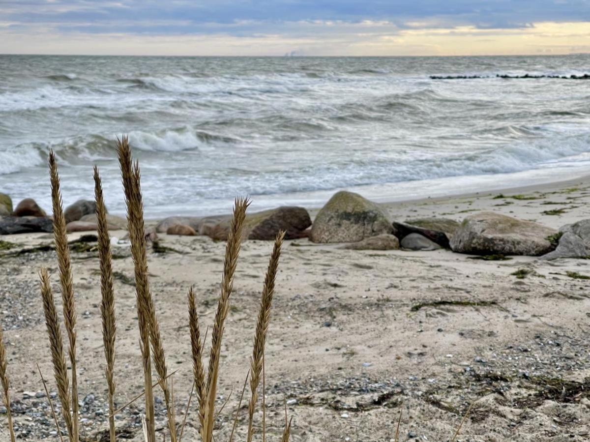 Dahmer Strand No13 ภายนอก รูปภาพ